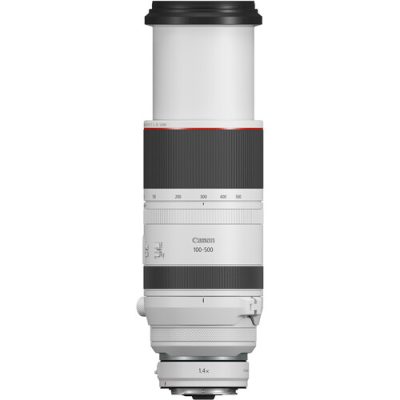Canon RF 100-500mm f/4.5-7.1 L IS USM Lens - Image 4