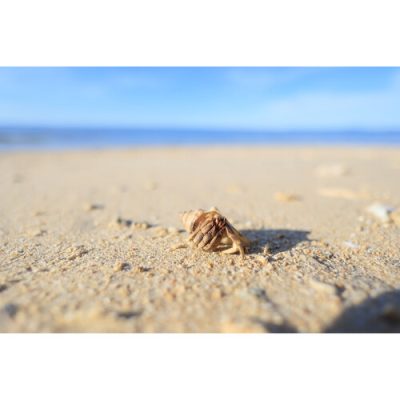 Canon RF 16mm f/2.8 STM Lens - Image 3