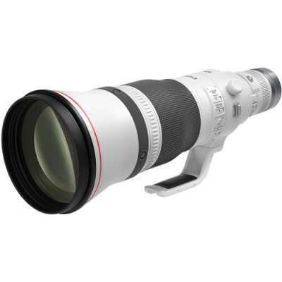Canon RF 600mm f/4 L IS USM Lens - Image 6