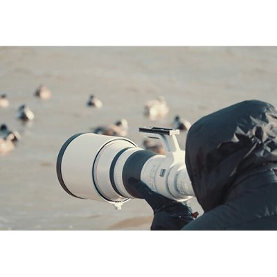 Canon RF 800mm f/5.6 L IS USM Lens - Image 5