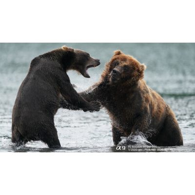 Sony a9 II Mirrorless Camera - Image 6