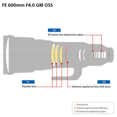 Sony FE 600mm f/4 GM OSS Lens - Image 2